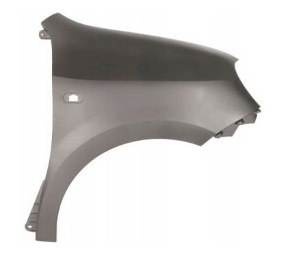Parafango anteriore destro in Plastica con Foro Lucciola-Ne per Renault Twingo RN2023013 - 64-RN2023013 - 64-RN2023013