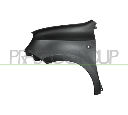 Parafango anteriore sinistro in Plastica con Foro Lucciola-Ne per Renault Twingo RN2023014