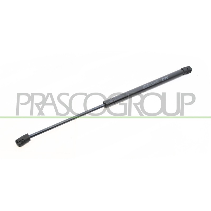 Molla A Gas Portellone posteriore destro/Sinistro per Renault Clio RN3259065