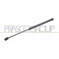 Molla A Gas Portellone posteriore destro/Sinistro per Renault Clio RN3259065