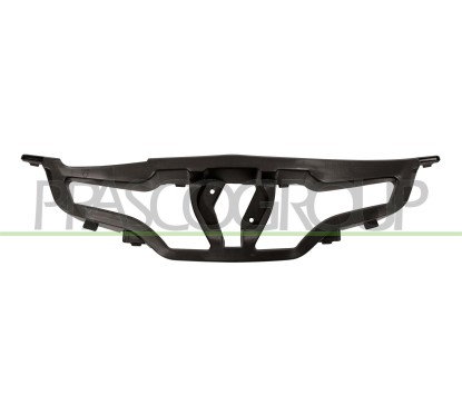 Supporto Griglia Radiatore per Renault Clio RN3292102