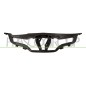 Supporto Griglia Radiatore per Renault Clio RN3292102