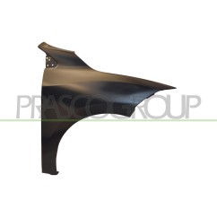 Parafango anteriore destro Senza Foro Lucciola per Renault Megane RN4243003 - 64-RN4243003 - 64-RN4243003