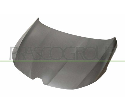Cofano per Renault Megane RN4303100