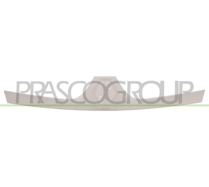 Griglia Radiatore (Esterna) 01/Dal 2006 per Renault Master III RN9522001