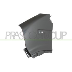 Parafango anteriore sinistro con Foro Lucciola per Nissan Interstar, Opel Movano e Renault Mascott e altri modelli RN9523014