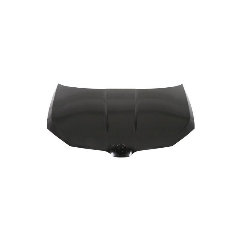 Cofano per Skoda Fabia SK3283100