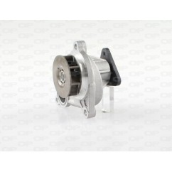 Pompa Acqua WAP8580.00 - 80-WAP8580.00 - 80-WAP8580.00