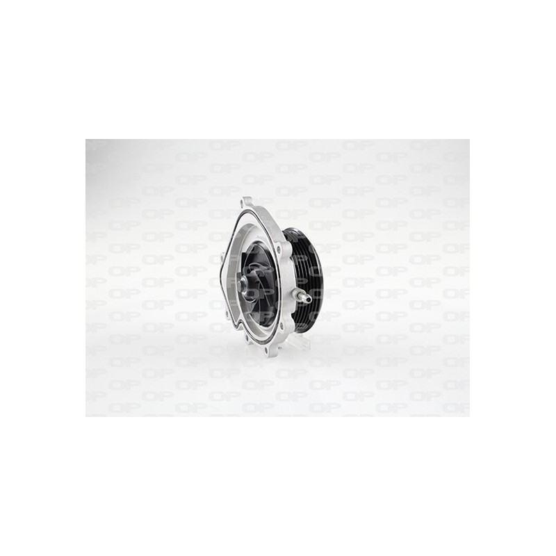 Pompa Acqua WAP8619.00