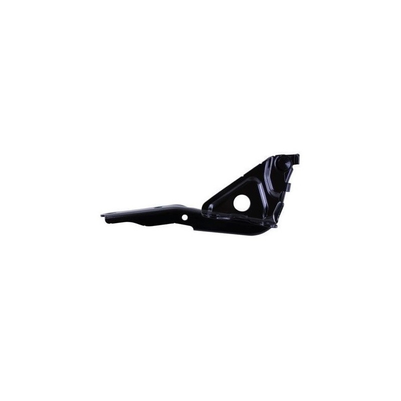 Cerniera Cofano sinistro per Toyota Rav 4 TY2873704
