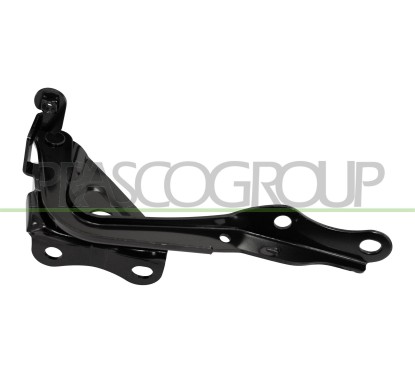 Cerniera Cofano sinistro per Toyota Rav 4 TY2873704