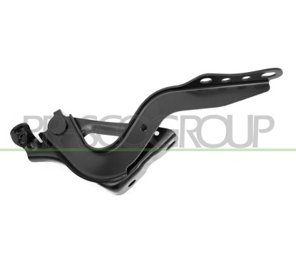 Cerniera Cofano destro Toyota Rav 4 dal 2019 TY2933704
