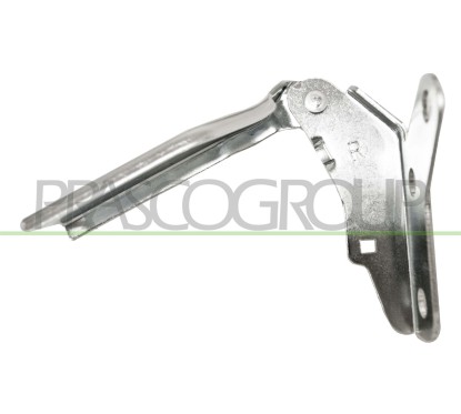 Cerniera Cofano destro per Volkswagen Polo VG0223703