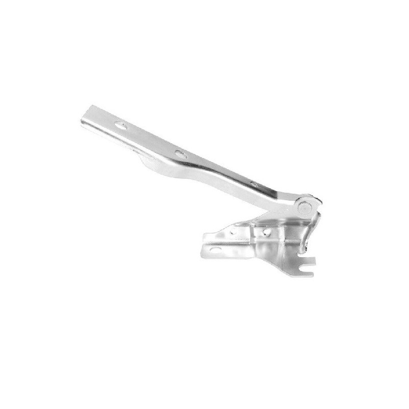 Cerniera Cofano destro per Volkswagen Polo VG0233703
