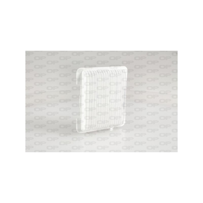 Filtro Raffreddamento Batteria BCF6003.00
