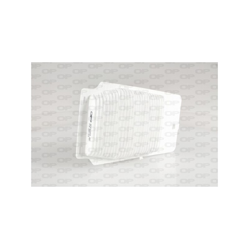 Filtro Raffreddamento Batteria BCF6009.00