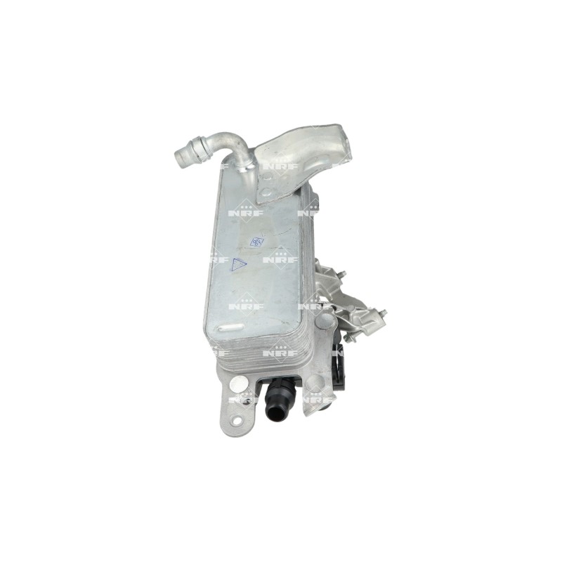 Radiatore Olio 310075
