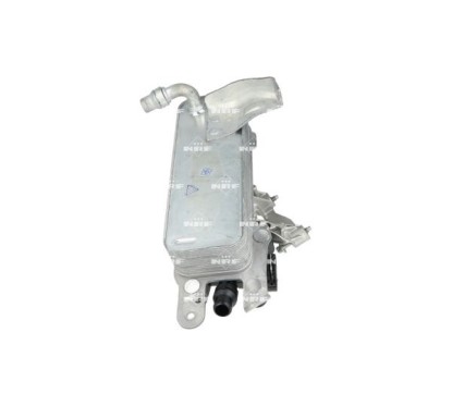 Radiatore Olio 310075