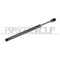 Molla A Gas Portellone posteriore destro/Sinistro per Audi A4 (8Ec_B7) AD0229065
