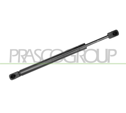Molla A Gas Portellone posteriore destro/Sinistro per Audi A4 (8Ec_B7) AD0229065