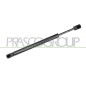 Molla A Gas Portellone posteriore destro/Sinistro per Audi A4 (8Ec_B7) AD0229065