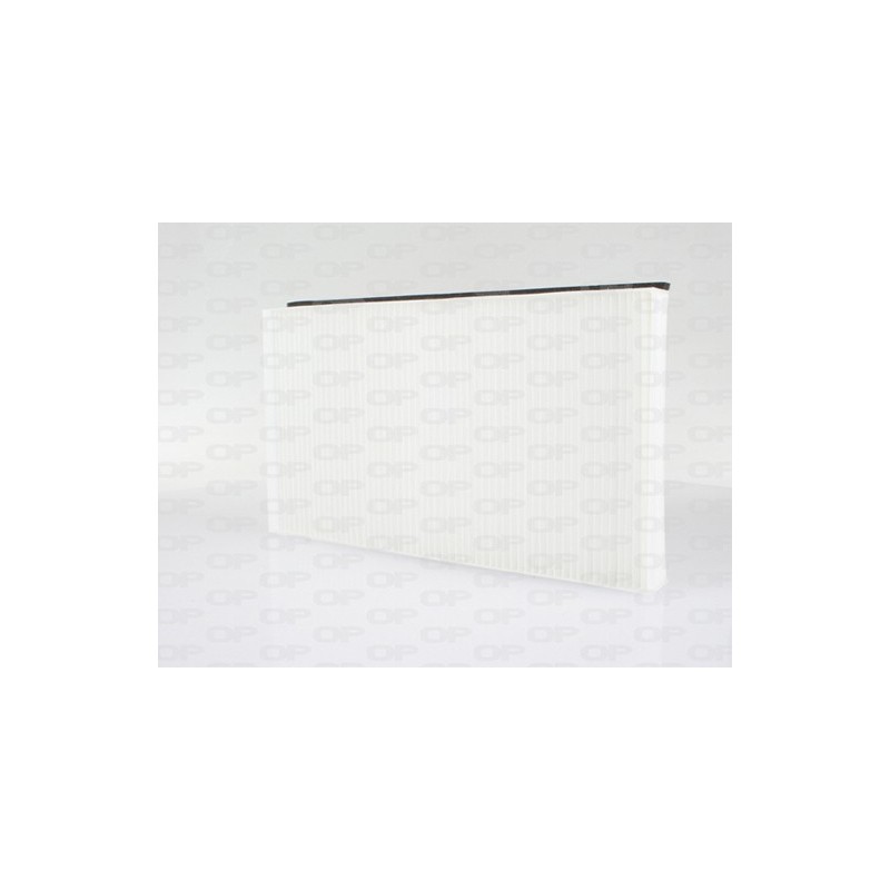 Filtro Abitacolo CAF2119.01