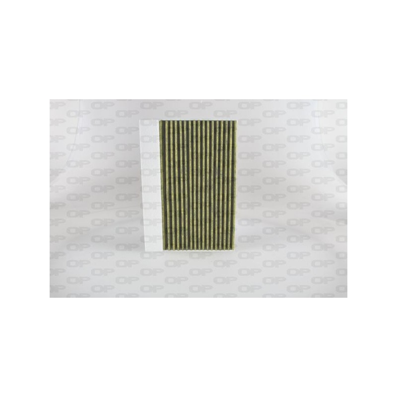 Filtro Abitacolo CAF2224.31