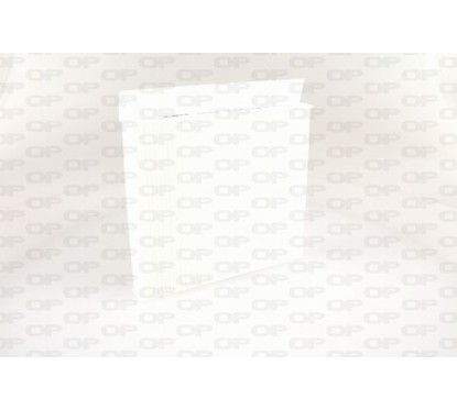 Filtro Abitacolo CAF2389.01 - 80-CAF2389.01 - 80-CAF2389.01