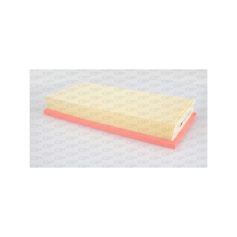 Filtro Aria EAF3007.10