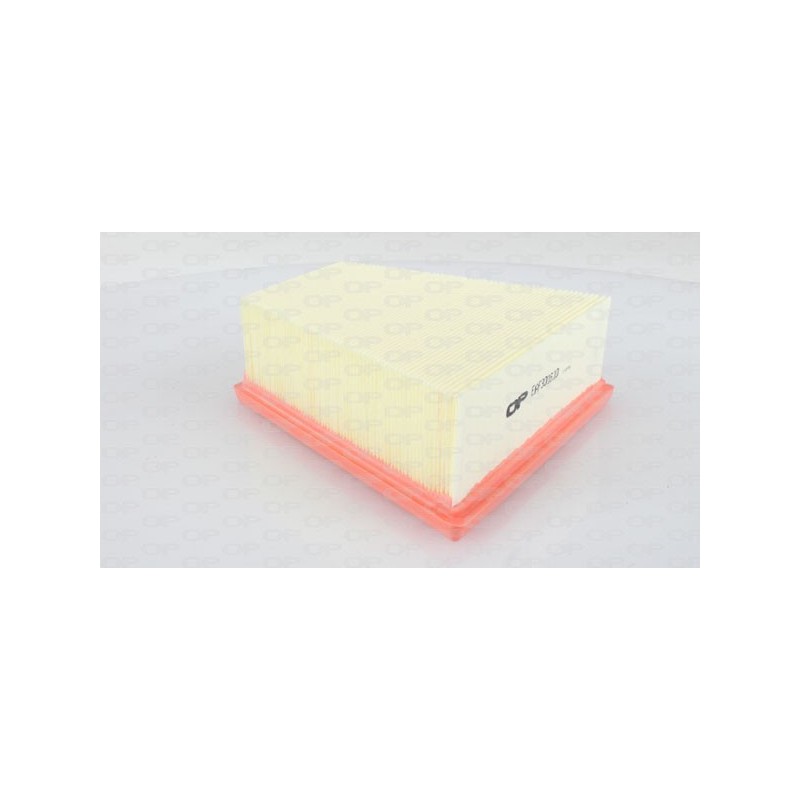 Filtro Aria EAF3016.10