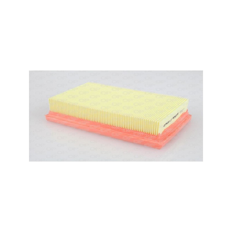 Filtro Aria EAF3019.10