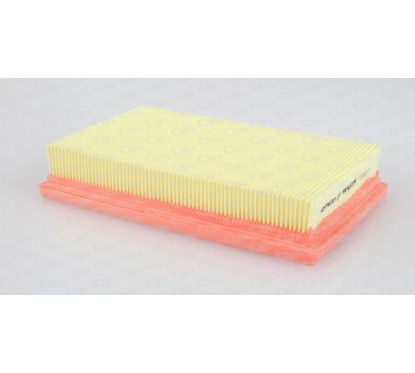 Filtro Aria EAF3019.10 - 80-EAF3019.10 - 80-EAF3019.10