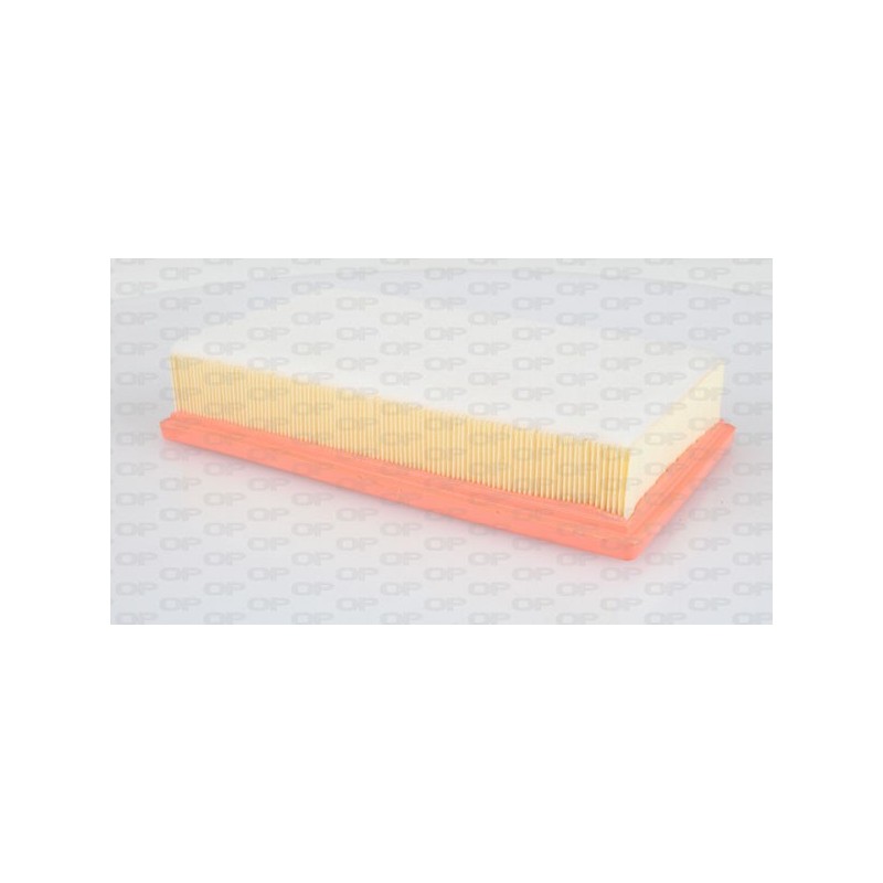 Filtro Aria EAF3021.10