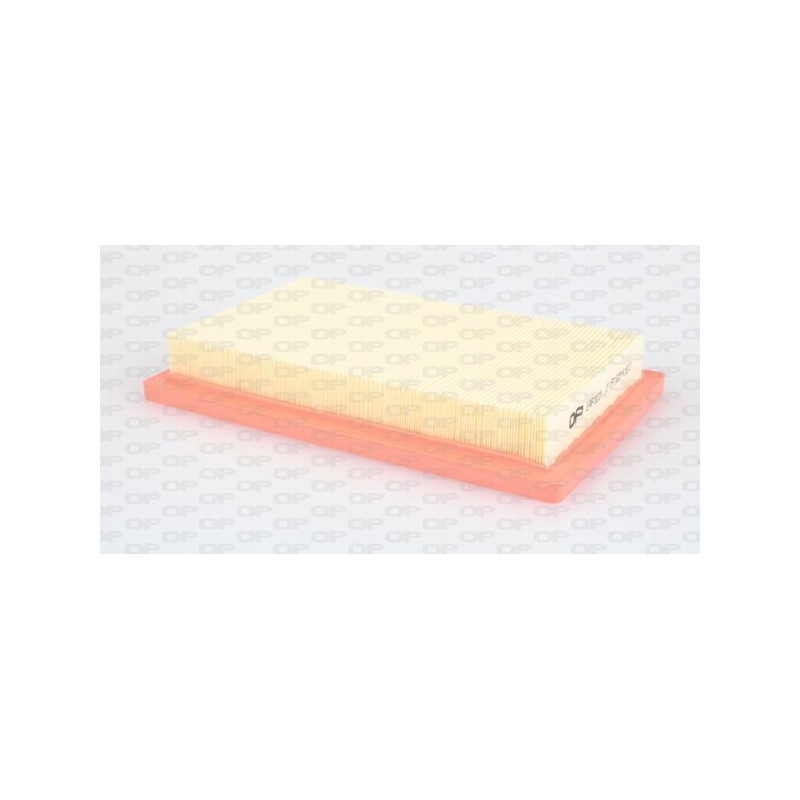 Filtro Aria EAF3028.10