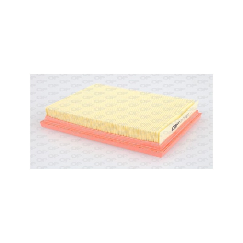 Filtro Aria EAF3040.10