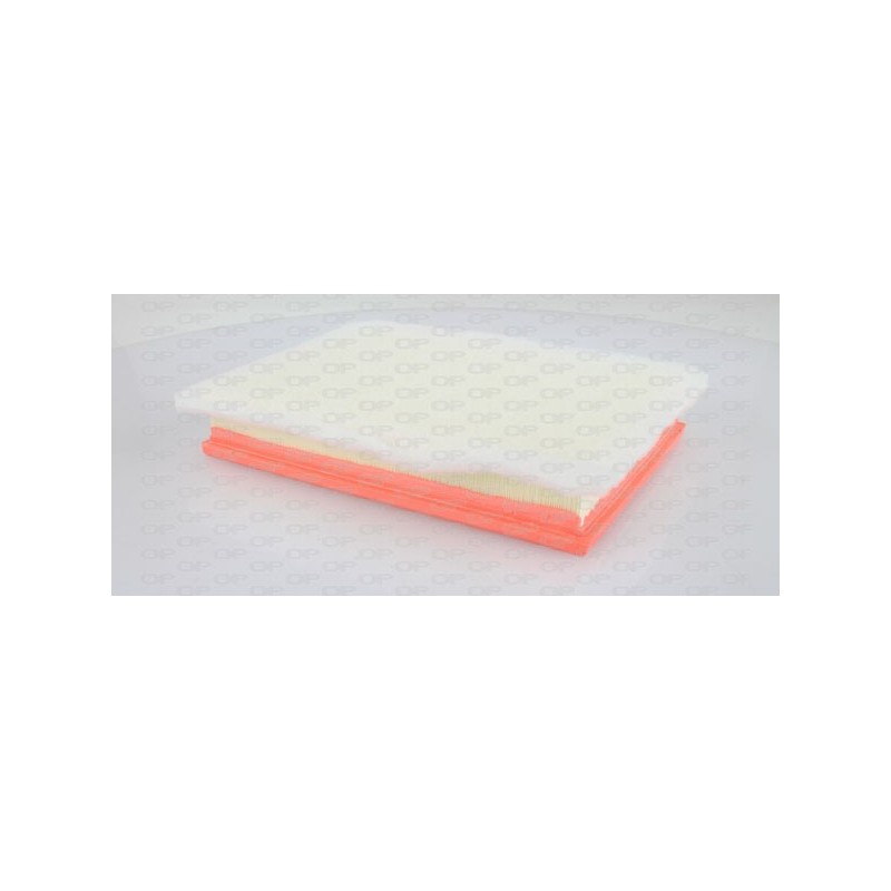 Filtro Aria EAF3050.10
