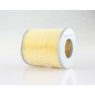 Filtro Aria EAF3067.20