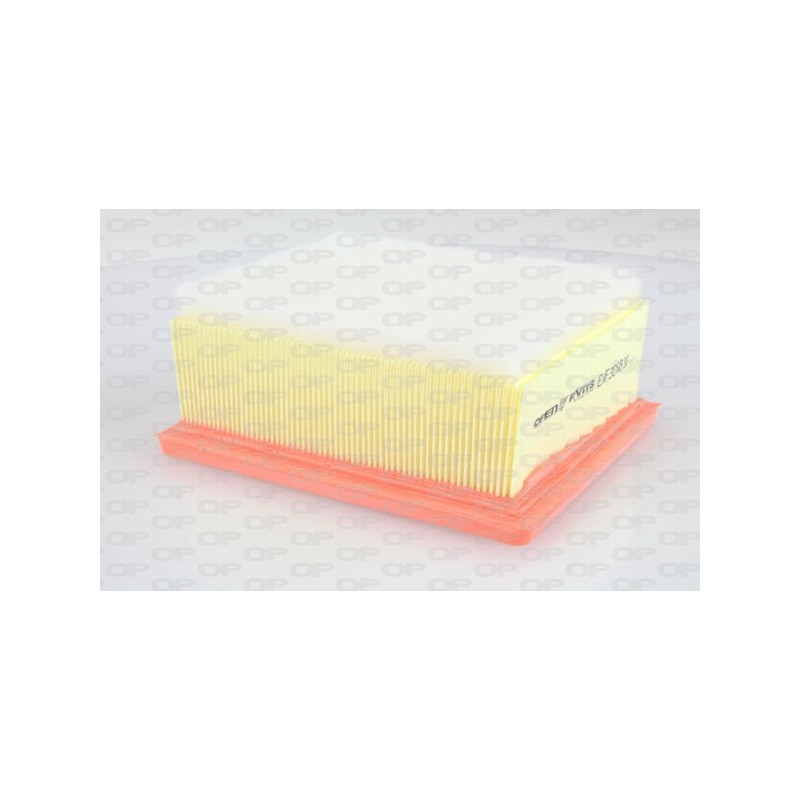 Filtro Aria EAF3068.10