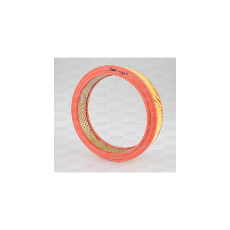 Filtro Aria EAF3070.20