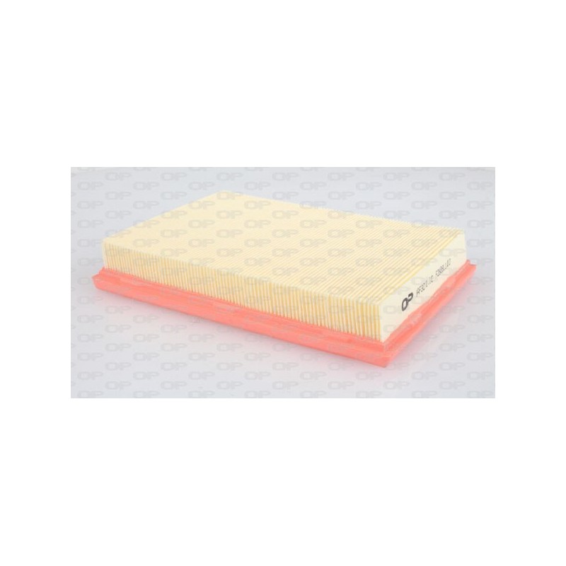 Filtro Aria EAF3071.10