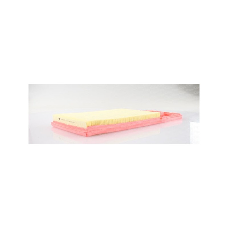 Filtro Aria EAF3073.10