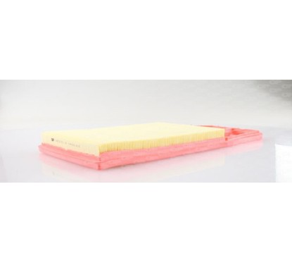 Filtro Aria EAF3073.10 - 80-EAF3073.10 - 80-EAF3073.10