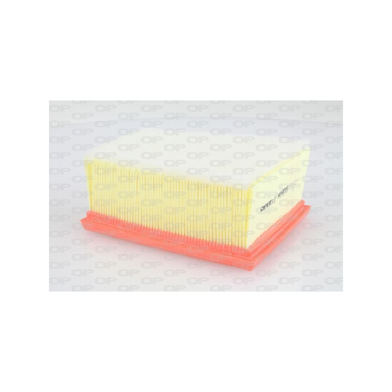 Filtro Aria EAF3076.10