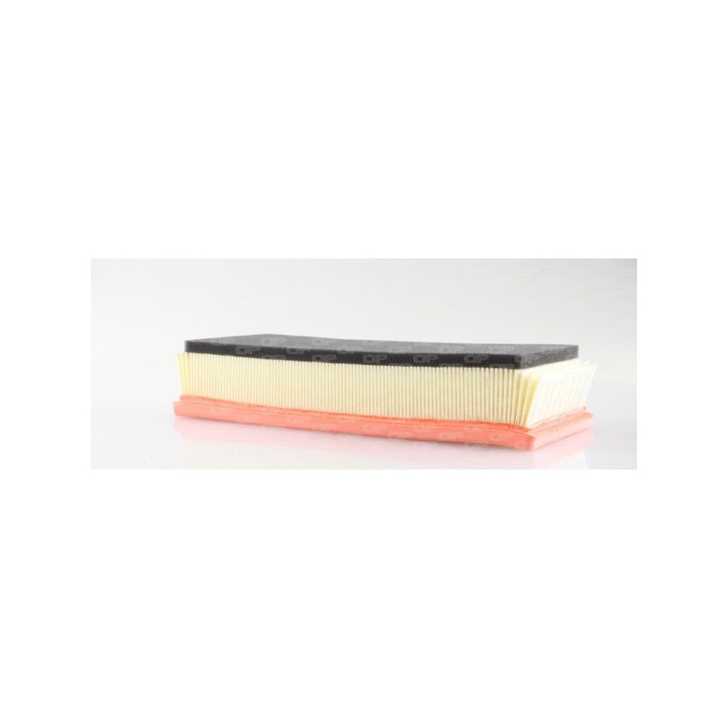 Filtro Aria EAF3077.10