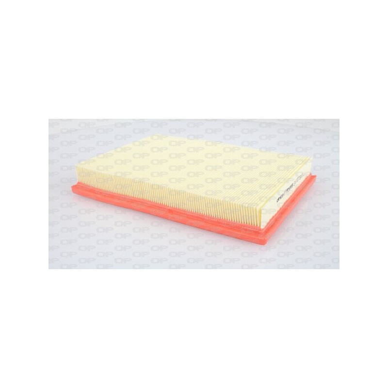 Filtro Aria EAF3079.10