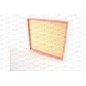 Filtro Aria EAF3081.10