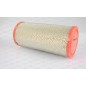 Filtro Aria EAF3085.20