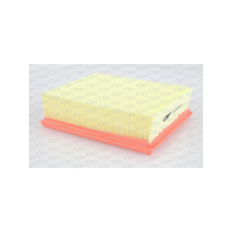 Filtro Aria EAF3089.10