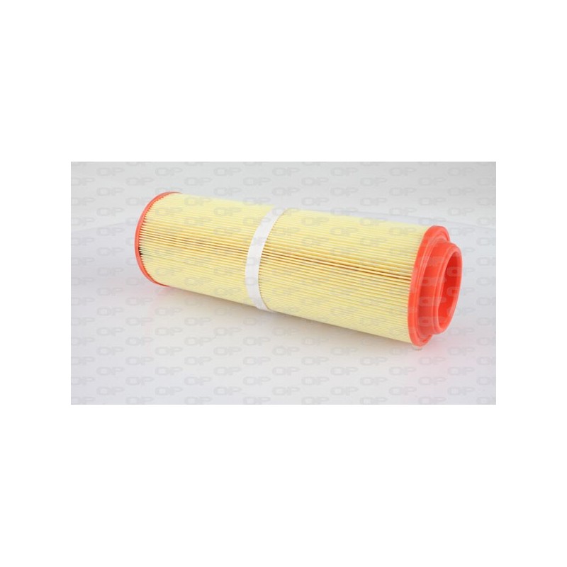 Filtro Aria EAF3095.20