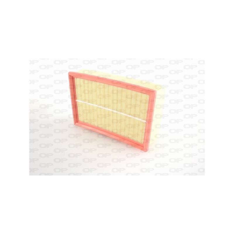 Filtro Aria EAF3100.10